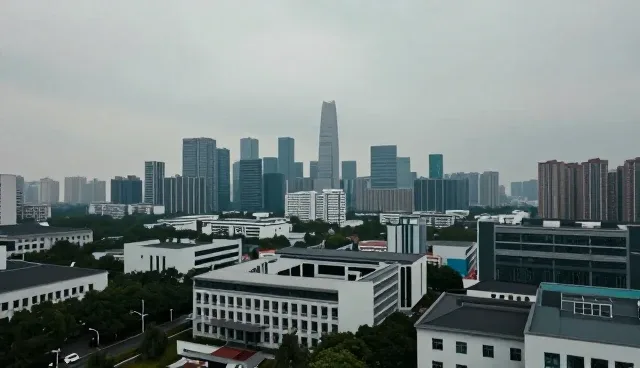公司建站服务如何影响企业信息发布效果